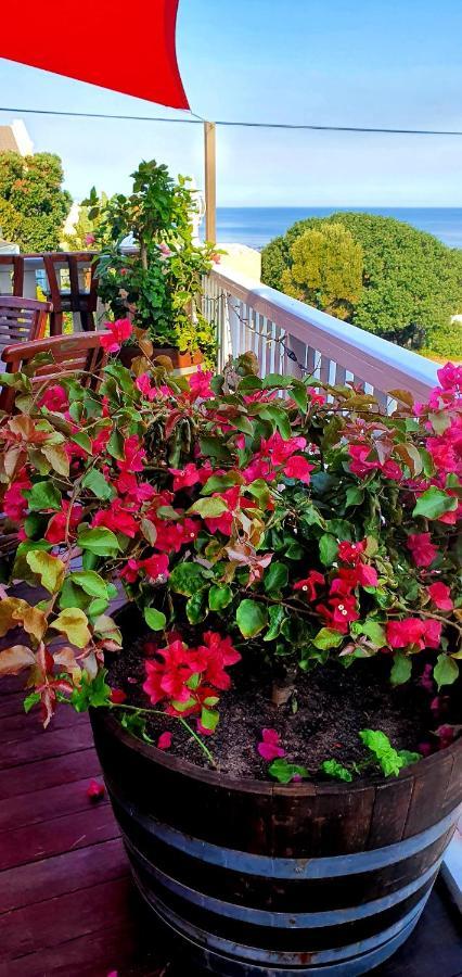 Belle Vue Guesthouse Херманус Экстерьер фото